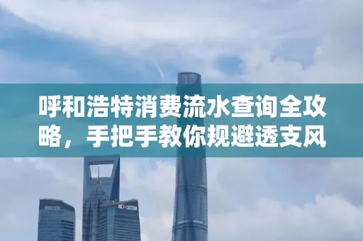 呼和浩特消费流水查询全攻略,手把手教你规避透支风险