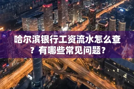 哈尔滨银行工资流水怎么查?有哪些常见问题? 哈尔滨银行工资流水怎么查?有哪些常见问题?