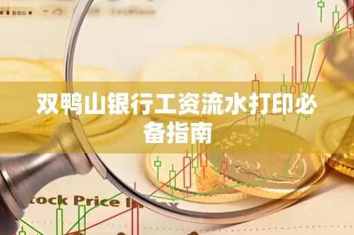 双鸭山银行工资流水打印必备指南