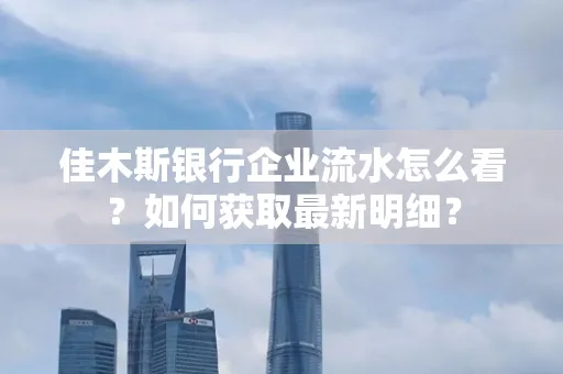 佳木斯银行企业流水怎么看?如何获取最新明细?