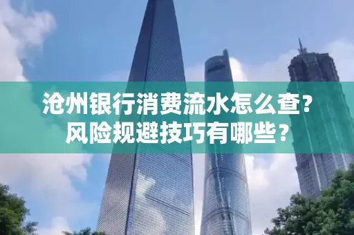 沧州银行消费流水怎么查?风险规避技巧有哪些?
