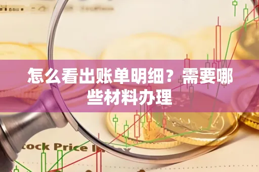 怎么看出账单明细?需要哪些材料办理