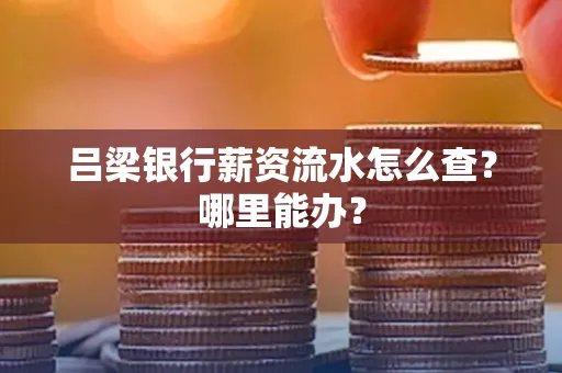 吕梁银行薪资流水怎么查?哪里能办?