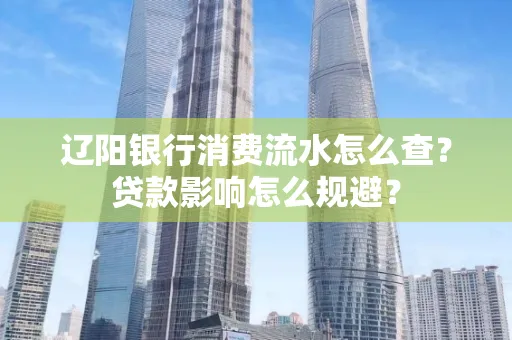 辽阳银行消费流水怎么查?贷款影响怎么规避?