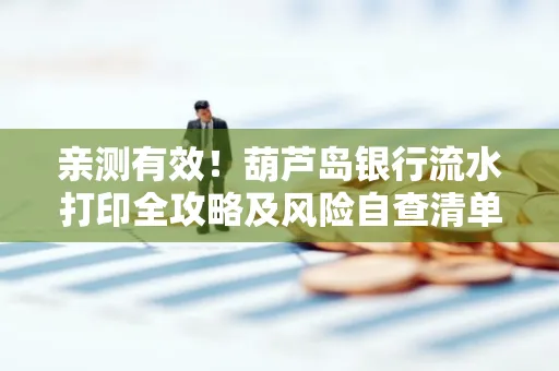 亲测有效!葫芦岛银行流水打印全攻略及风险自查清单