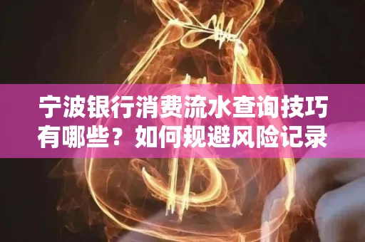 宁波银行消费流水查询技巧有哪些?如何规避风险记录?