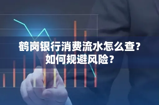 鹤岗银行消费流水怎么查?如何规避风险?