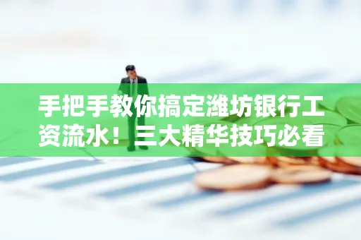 手把手教你搞定潍坊银行工资流水！三大精华技巧必看