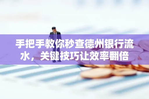 手把手教你秒查德州银行流水,关键技巧让效率翻倍