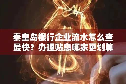 秦皇岛银行企业流水怎么查最快?办理贴息哪家更划算?