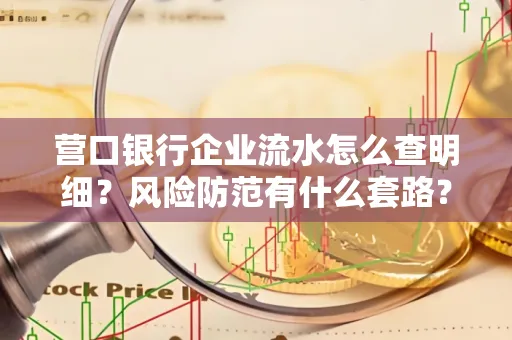 营口银行企业流水怎么查明细？风险防范有什么套路？