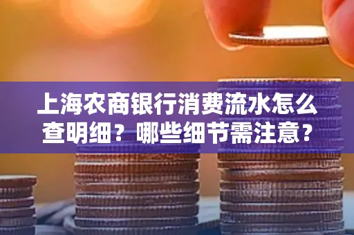 上海农商银行消费流水怎么查明细？哪些细节需注意？