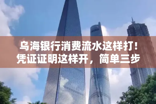 乌海银行消费流水这样打!凭证证明这样开,简单三步轻松搞定