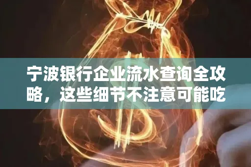 宁波银行企业流水查询全攻略,这些细节不注意可能吃大亏