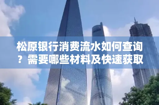 松原银行消费流水如何查询?需要哪些材料及快速获取方法?