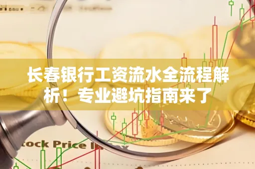 长春银行工资流水全流程解析!专业避坑指南来了