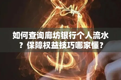如何查询廊坊银行个人流水?保障权益技巧哪家懂?