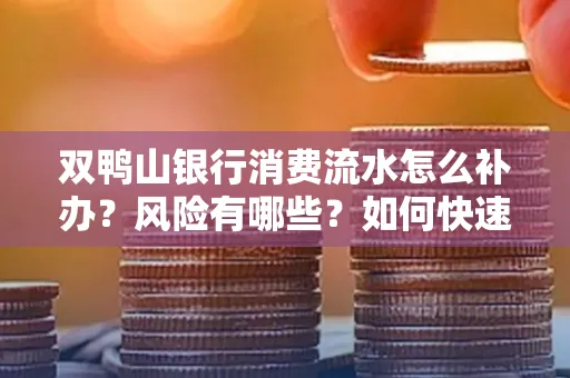 双鸭山银行消费流水怎么补办?风险有哪些?如何快速处理?