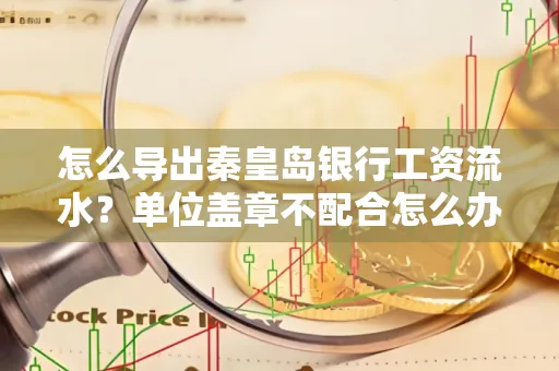 怎么导出秦皇岛银行工资流水?单位盖章不配合怎么办?