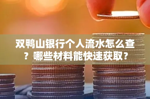 双鸭山银行个人流水怎么查?哪些材料能快速获取?