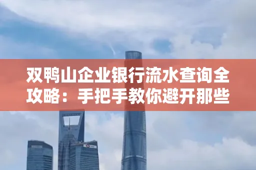 双鸭山企业银行流水查询全攻略:手把手教你避开那些坑