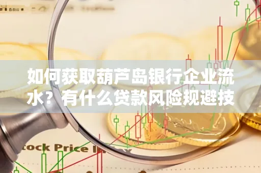 如何获取葫芦岛银行企业流水?有什么贷款风险规避技巧?