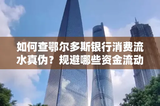 如何查鄂尔多斯银行消费流水真伪?规避哪些资金流动风险?防范要点解析