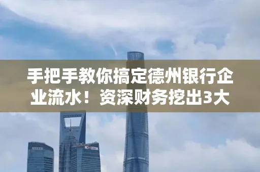 手把手教你搞定德州银行企业流水!资深财务挖出3大隐藏风险点