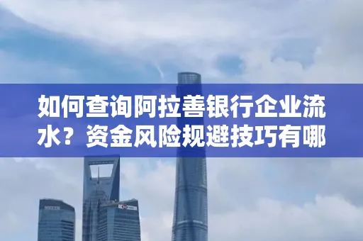 如何查询阿拉善银行企业流水?资金风险规避技巧有哪些?