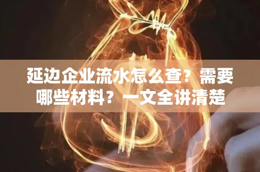 延边企业流水怎么查?需要哪些材料?一文全讲清楚