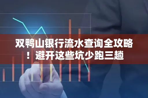 双鸭山银行流水查询全攻略!避开这些坑少跑三趟