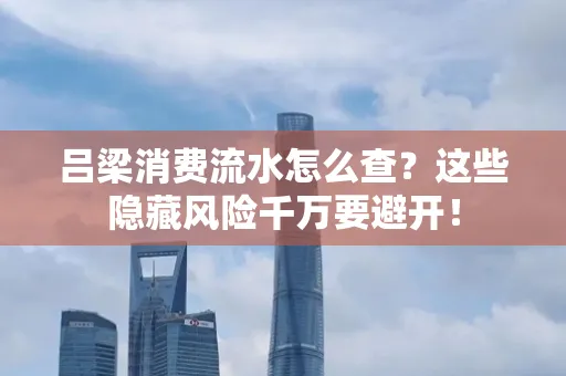 吕梁消费流水怎么查?这些隐藏风险千万要避开!