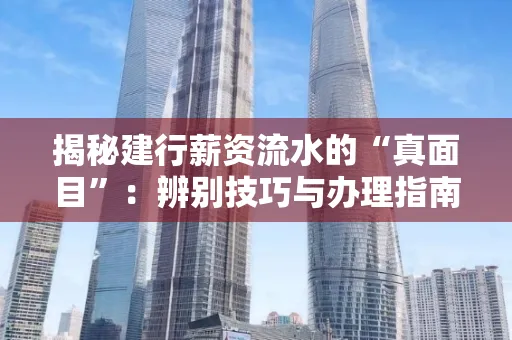 揭秘建行薪资流水的“真面目”：辨别技巧与办理指南大公开