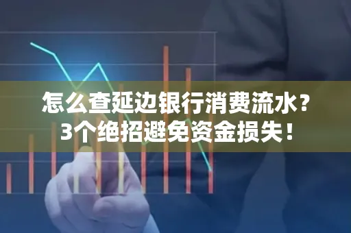 怎么查延边银行消费流水?3个绝招避免资金损失!