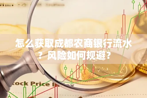 怎么获取成都农商银行流水?风险如何规避?